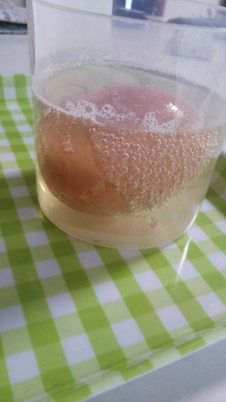 卵で実験!フッ素の効果は?
