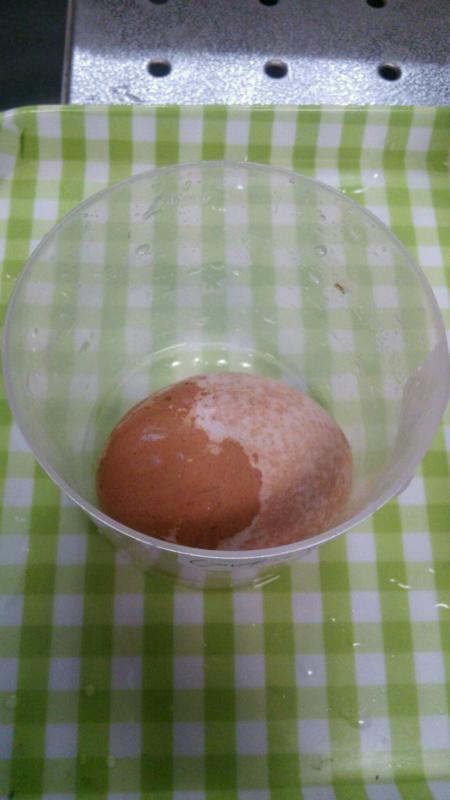 卵で実験!フッ素の効果は?