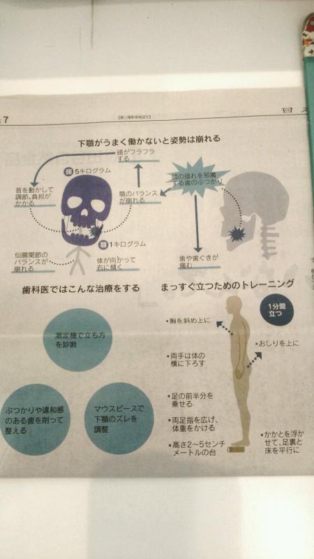 『良い姿勢、カギは下顎』