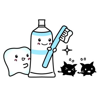 正しい方法で歯磨きをしていますか?