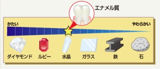 歯科保健指導