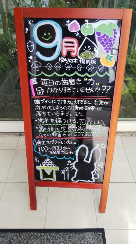 歯磨きの『力』