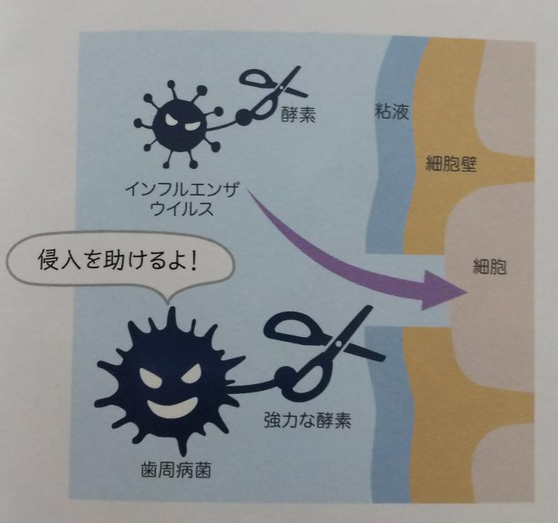 いい歯の日
