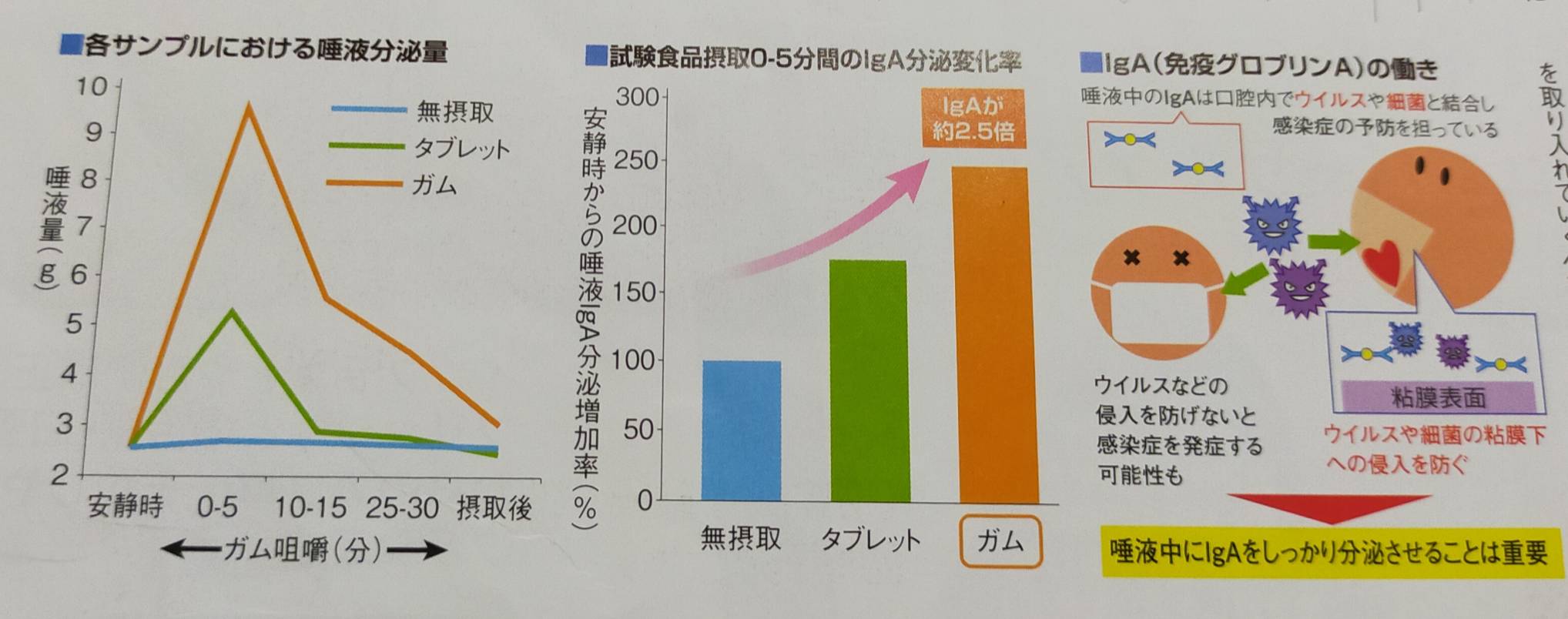 噛むことの重要性